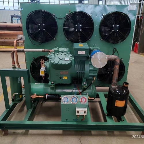 鲁月中温20匹
